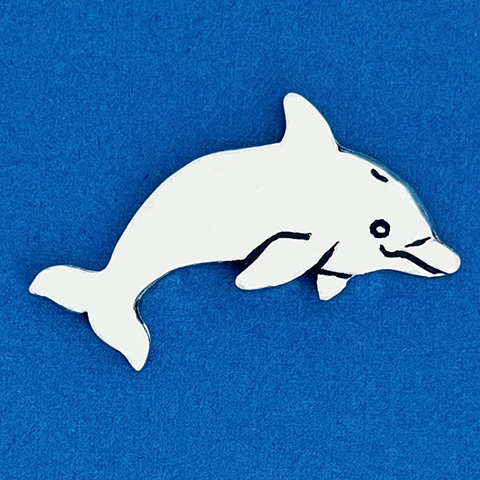 Dolphin Playful Coin 