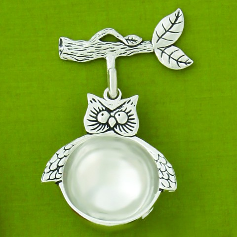 Owl Coffee Scoop with Branch Hook