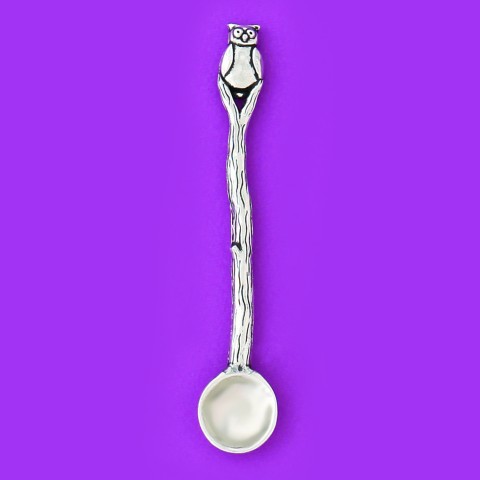 Owl Spice Spoon 