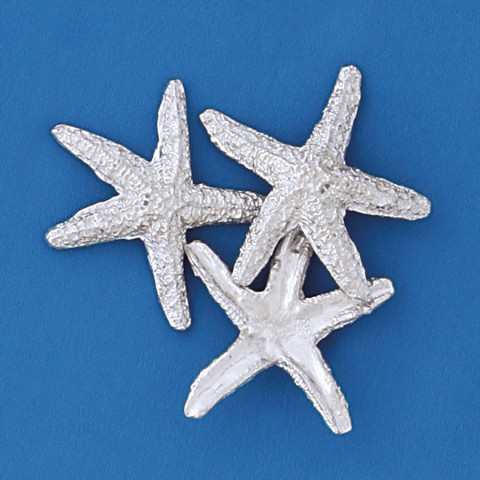Medium Starfish